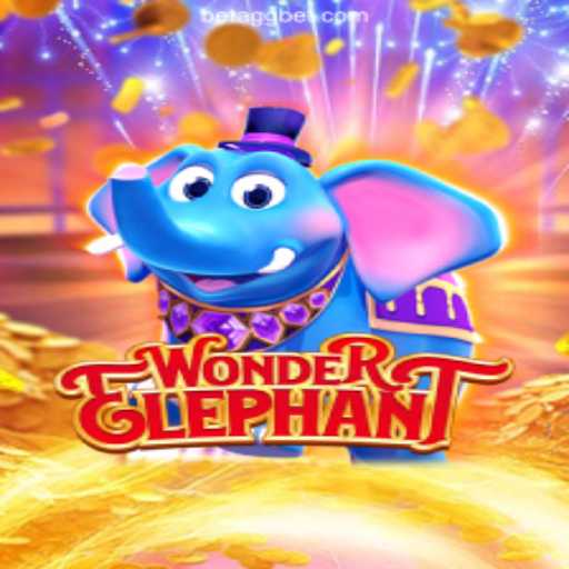 Discover the Enchantment of WonderElephant on AGGBET.com Platform