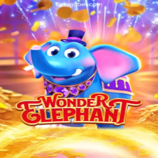 Discover the Enchantment of WonderElephant on AGGBET.com Platform